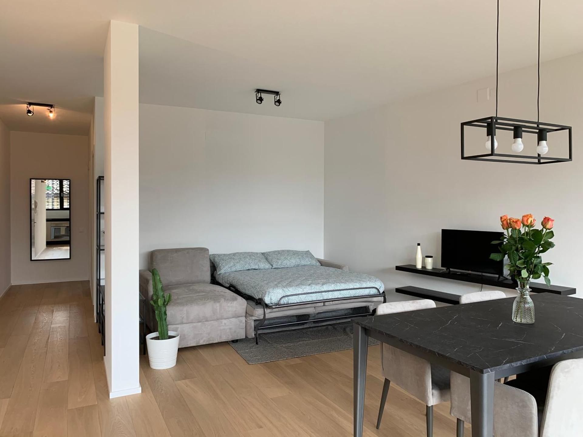 Deluxe One-Bedroom Apartment