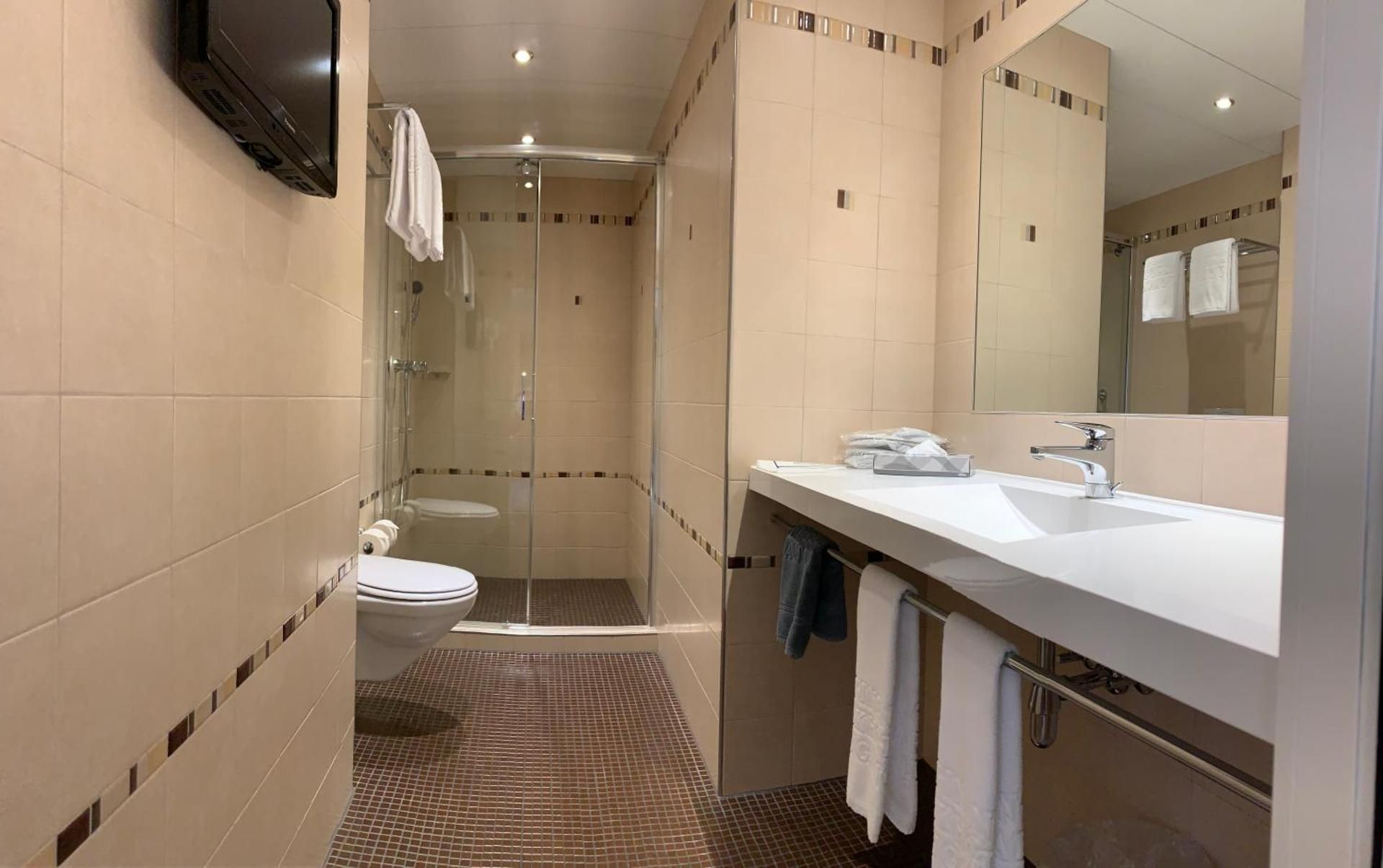 Continental Parkhotel Privilege Twin Room with Park View 2