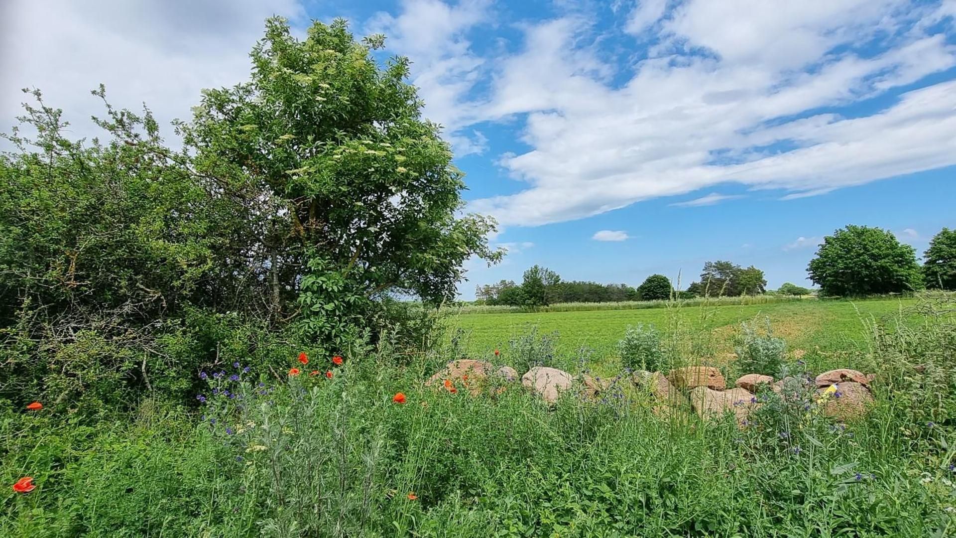 surrounding environment