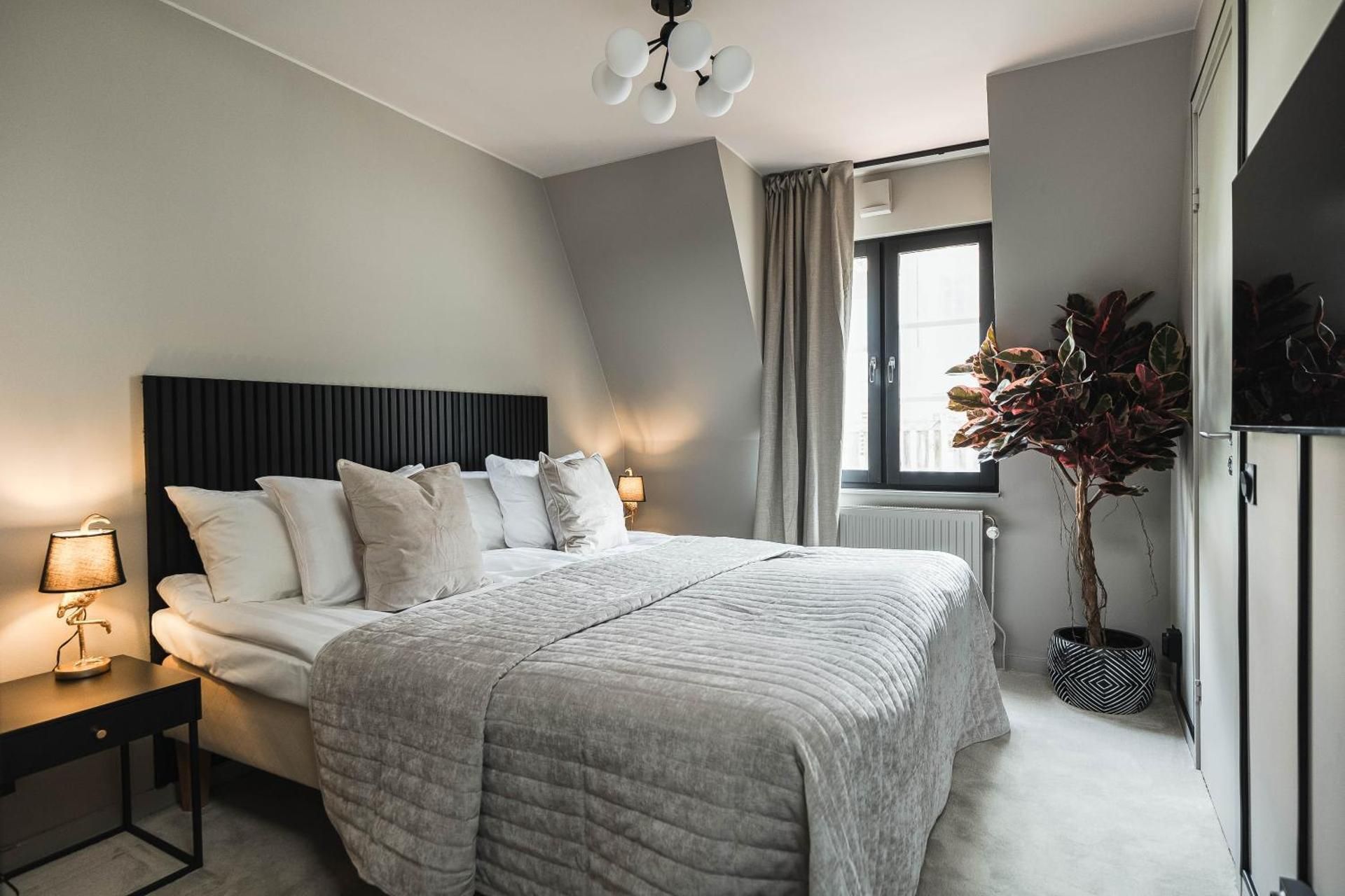 Twin or Double Room
