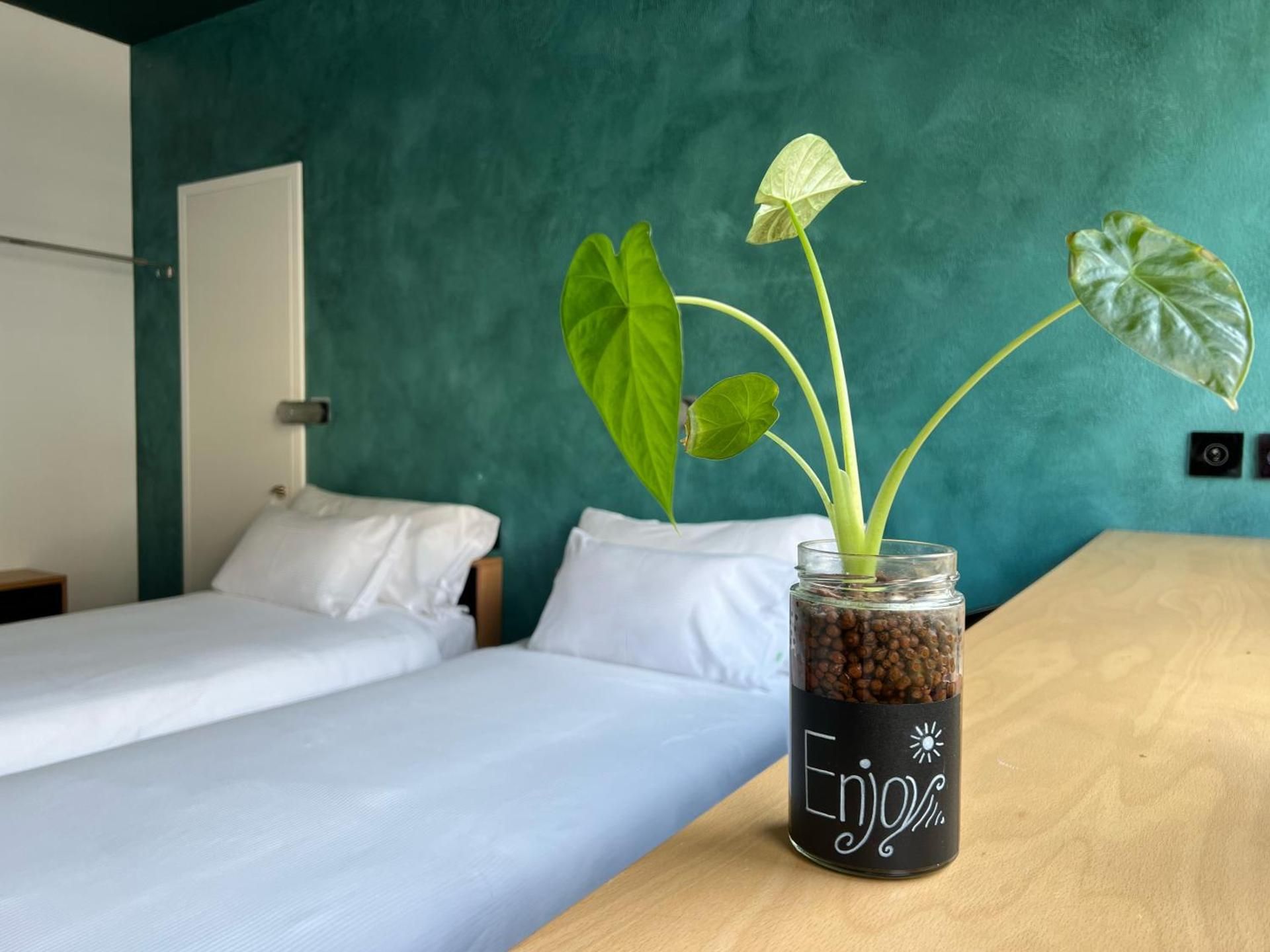 Single Room with Mountain View
