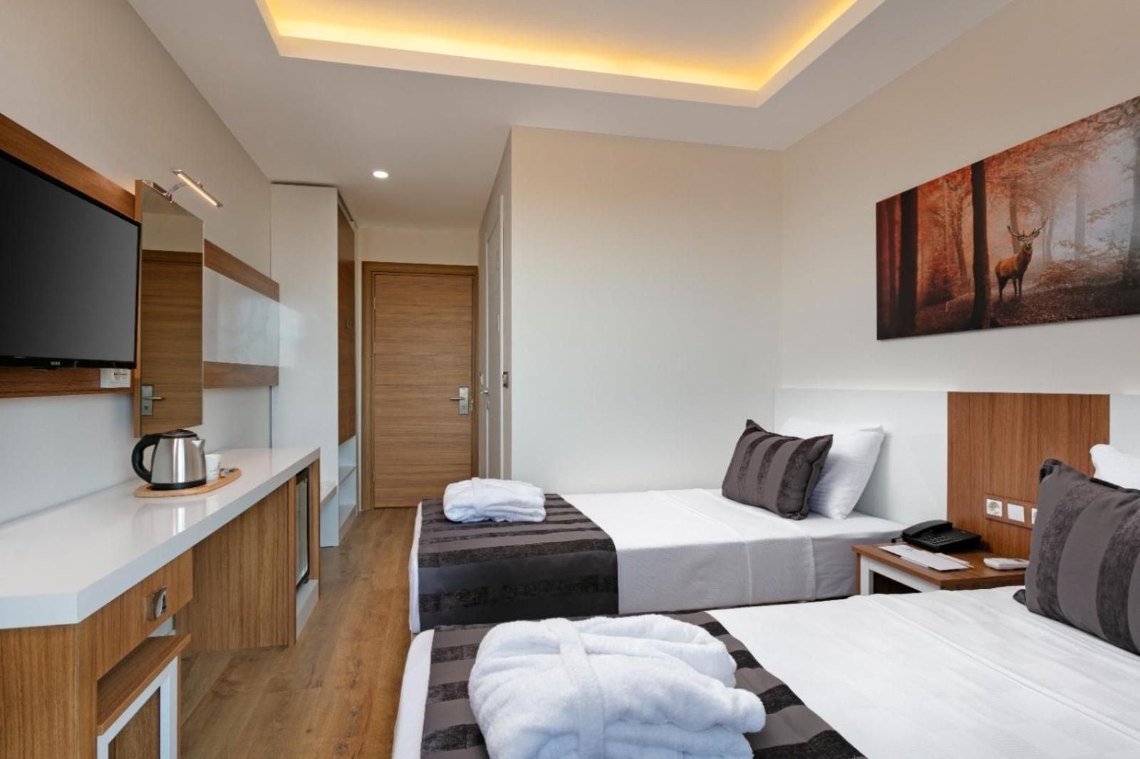 Twin Room with Balcony