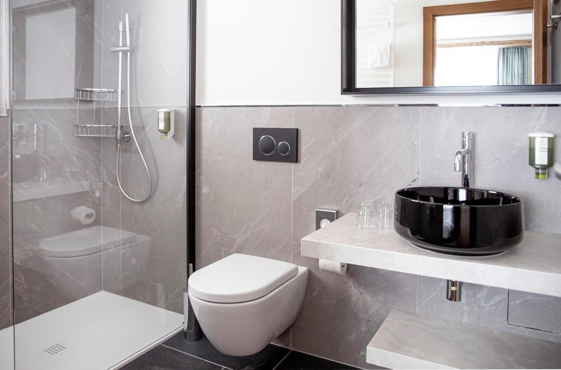 Hotel Hemizeus & Iremia Spa Twin Room Alpin with View 3