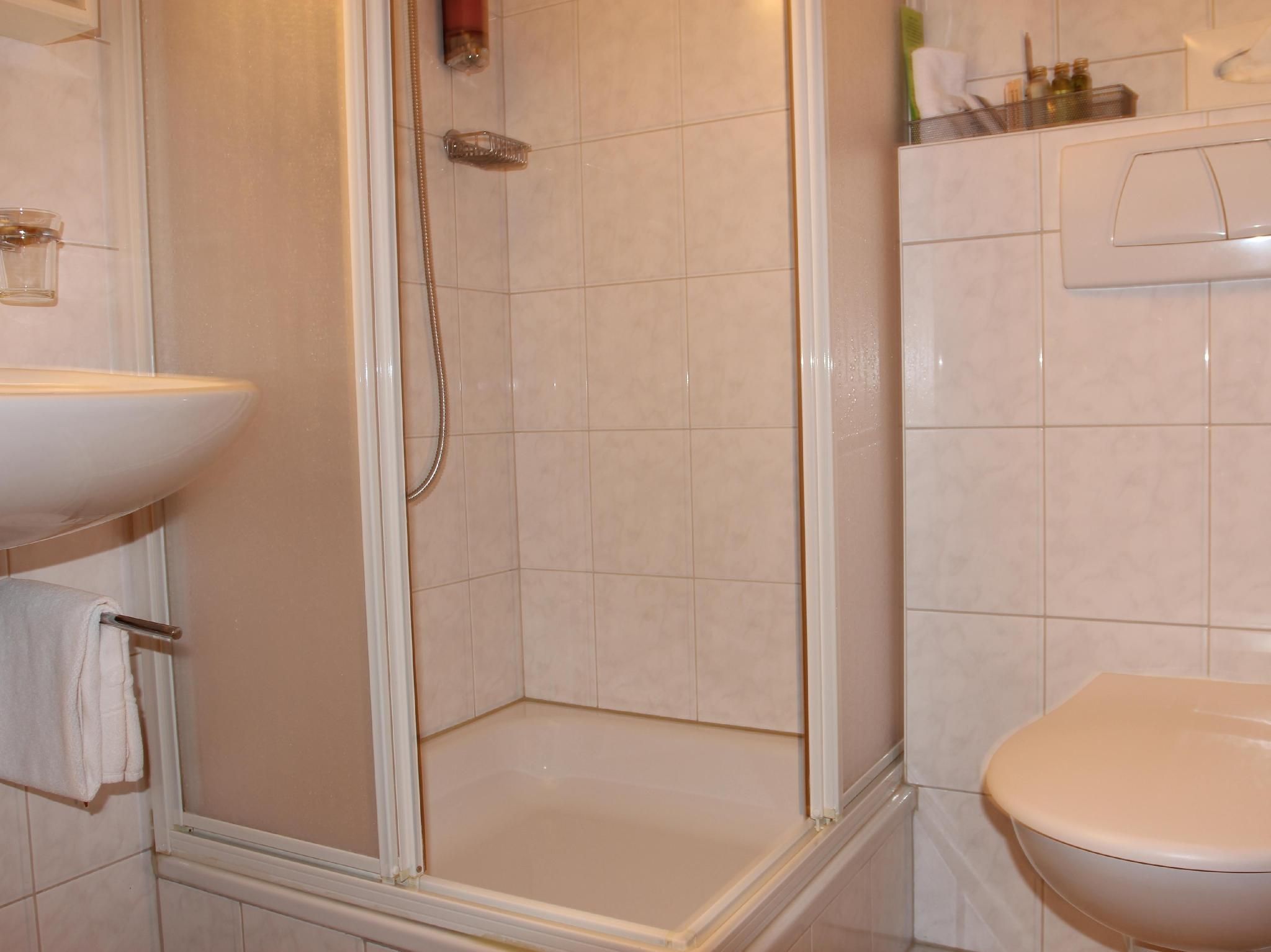 Hotel Metropol and Spa Zermatt Single Room 2