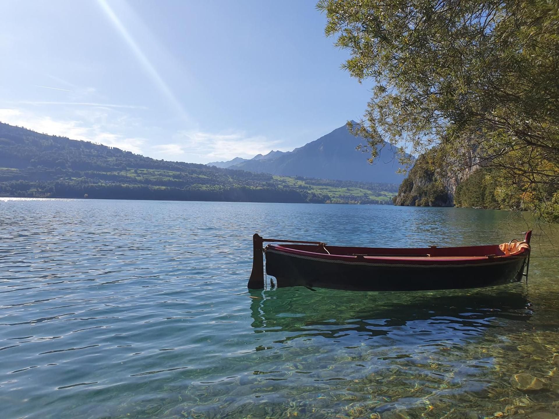 surrounding environment