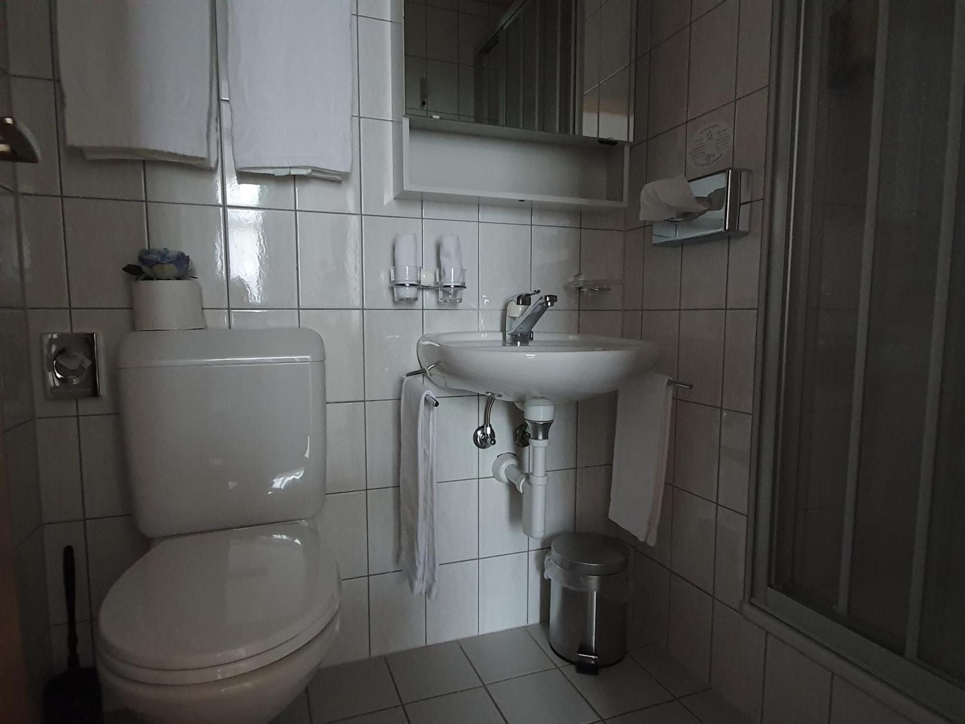 Hotel Rosengartli Double Room 3