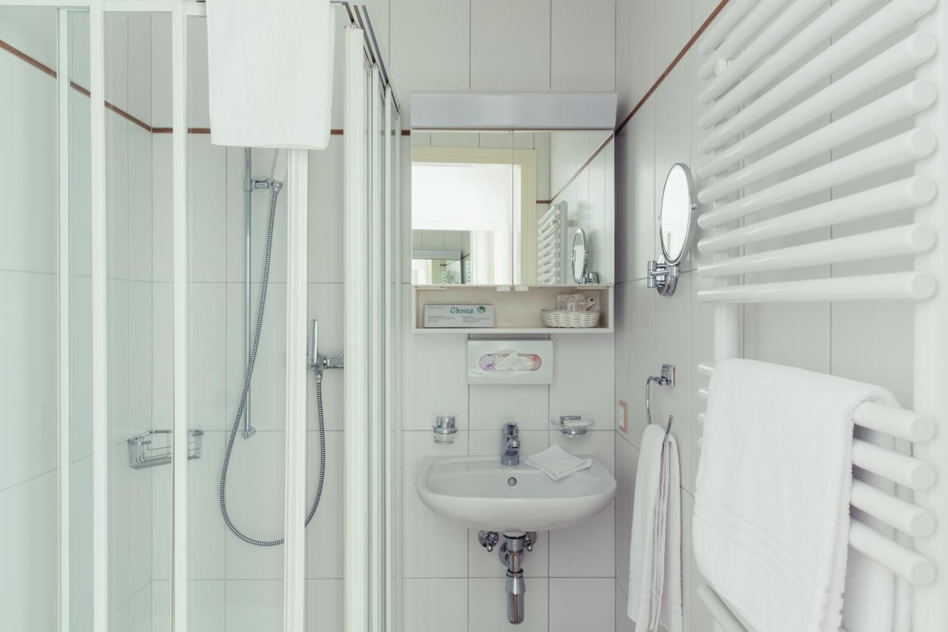 Hotel Tobler Comfort Single Room with Lake View