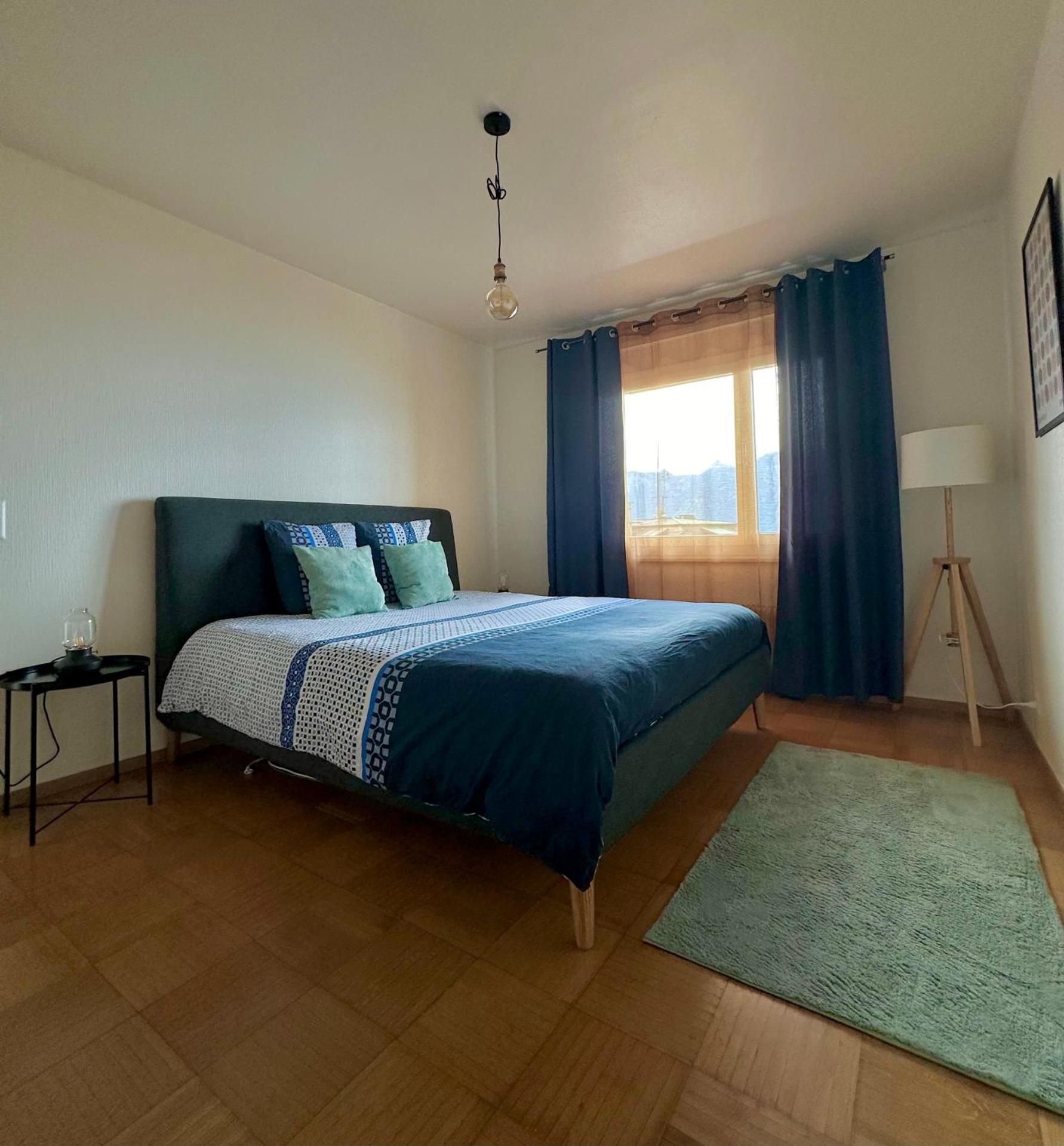 Appartement Montreux terrasse Lac One-Bedroom Apartment