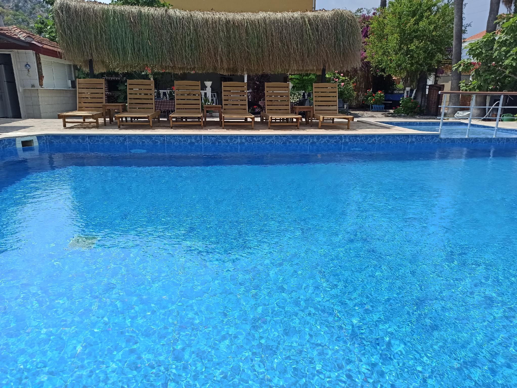 swimming pool [outdoor]