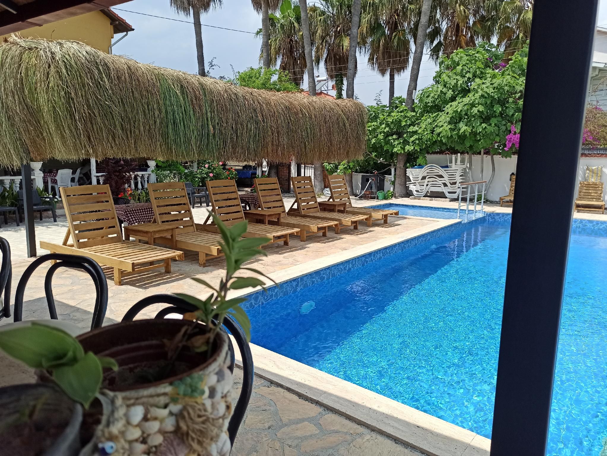 swimming pool [outdoor]