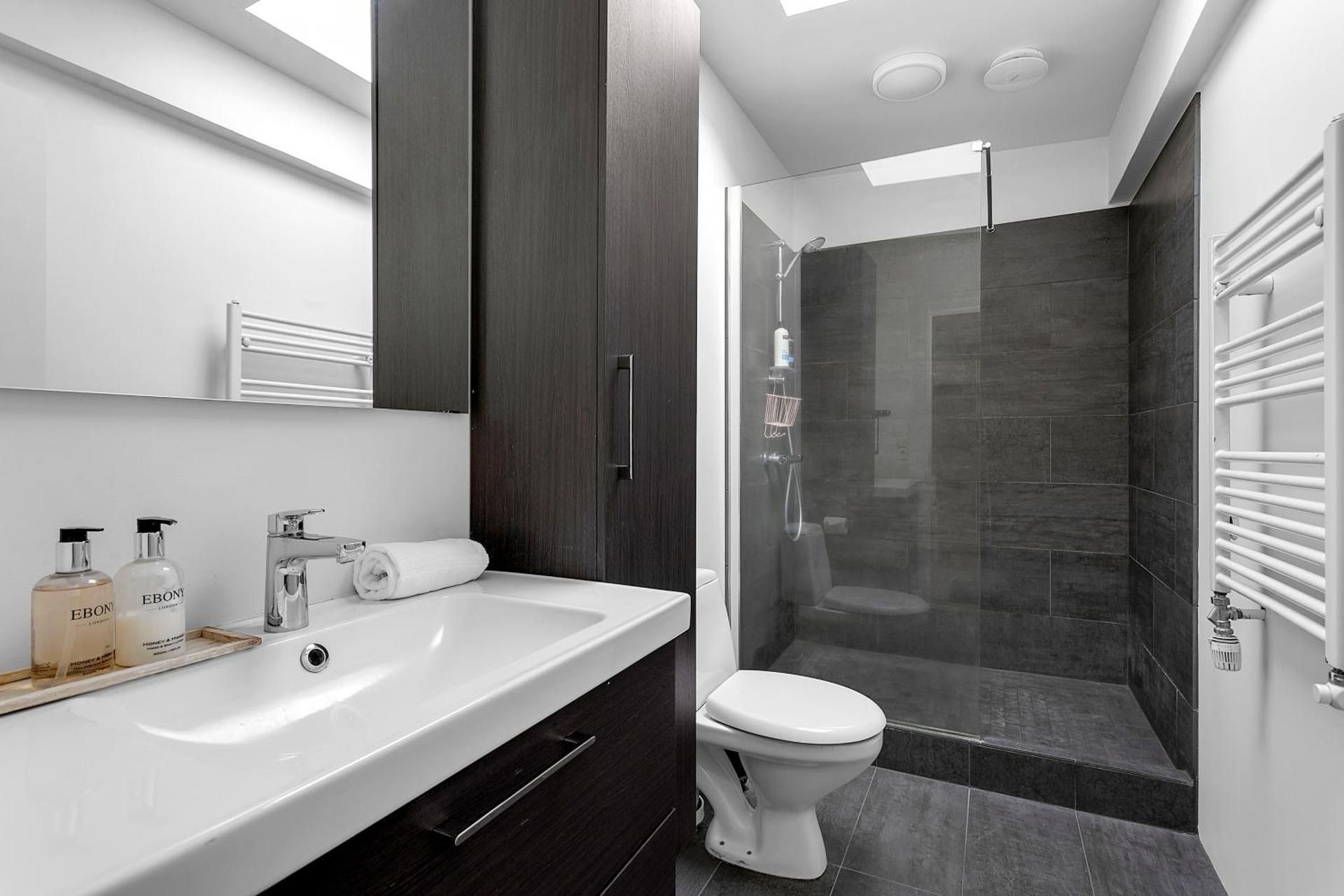 Baron Downtown Apartments One-Bedroom Apartment