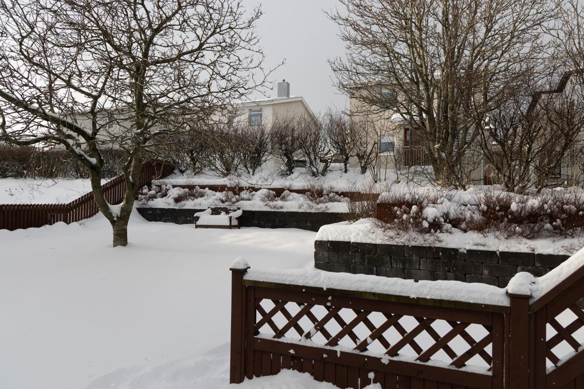 surrounding environment