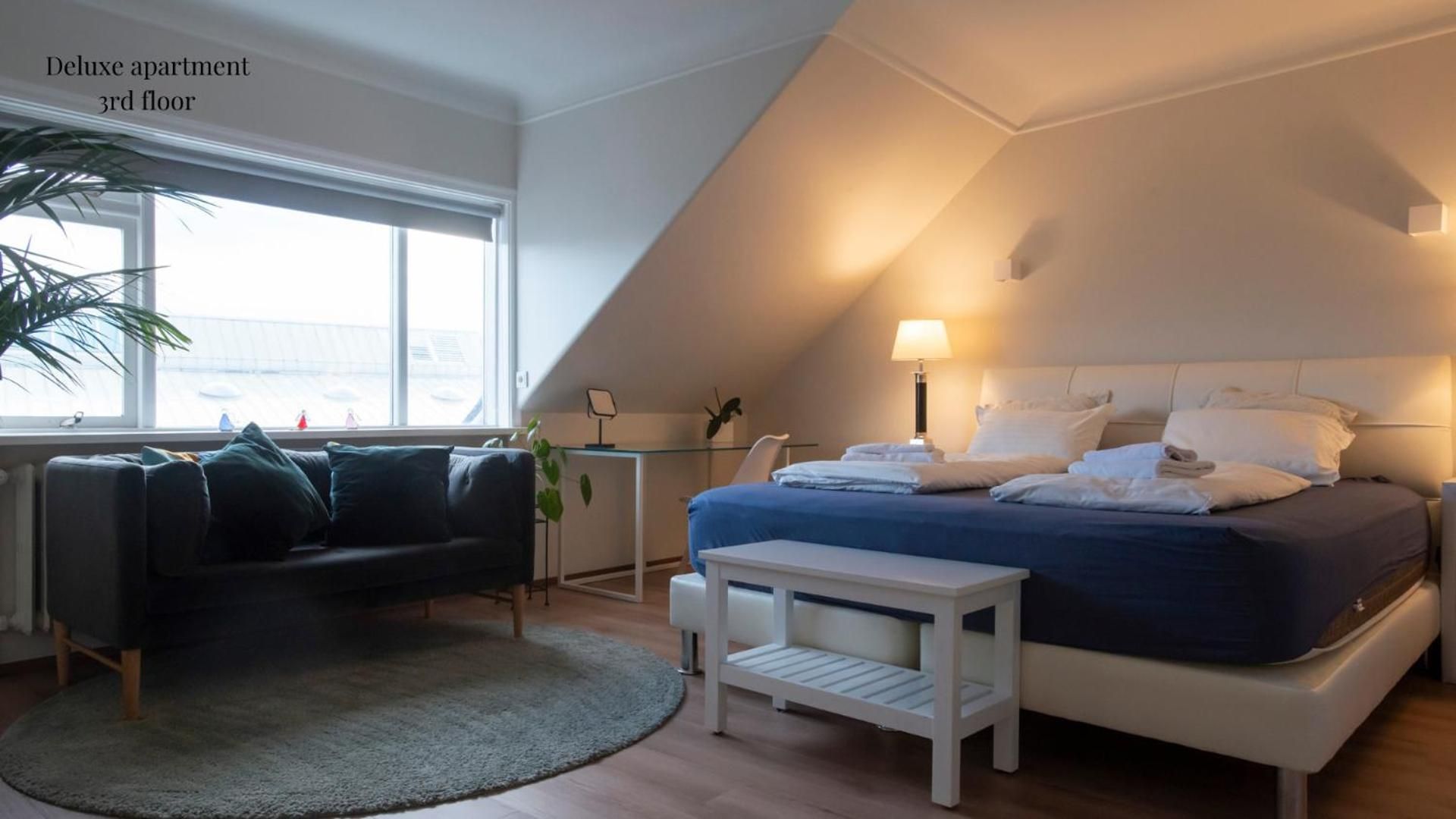 Deluxe Apartment
