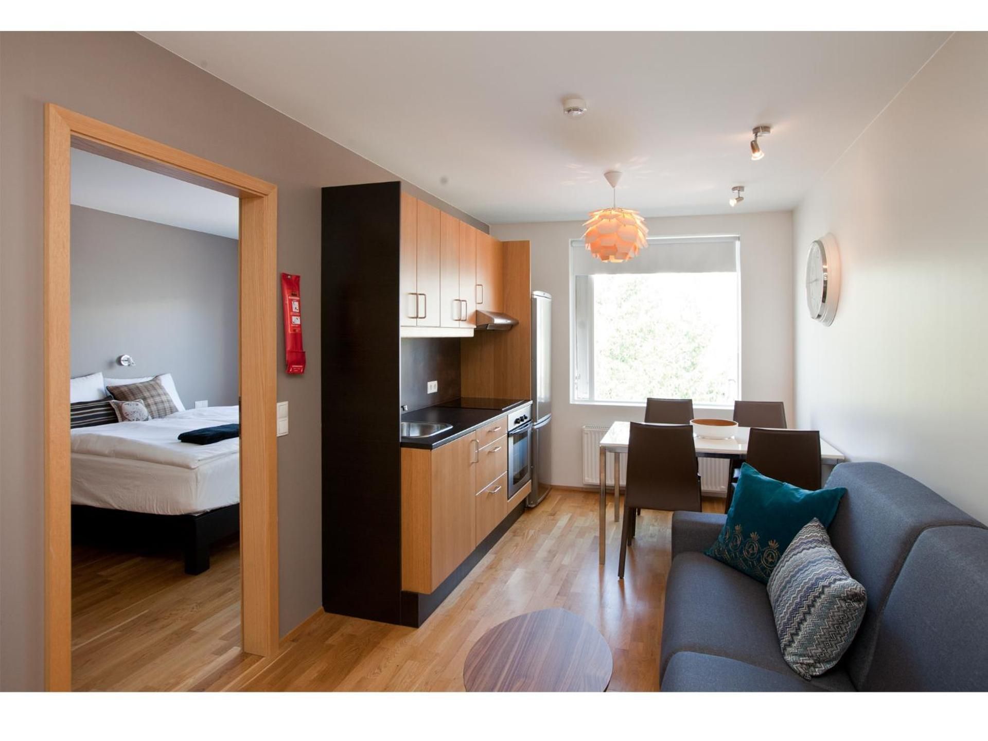 One-Bedroom Apartment with Square View