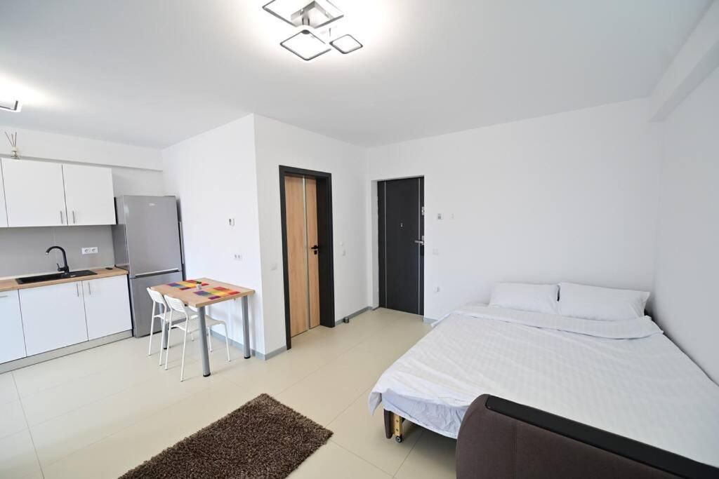 Studio with Sofa Bed