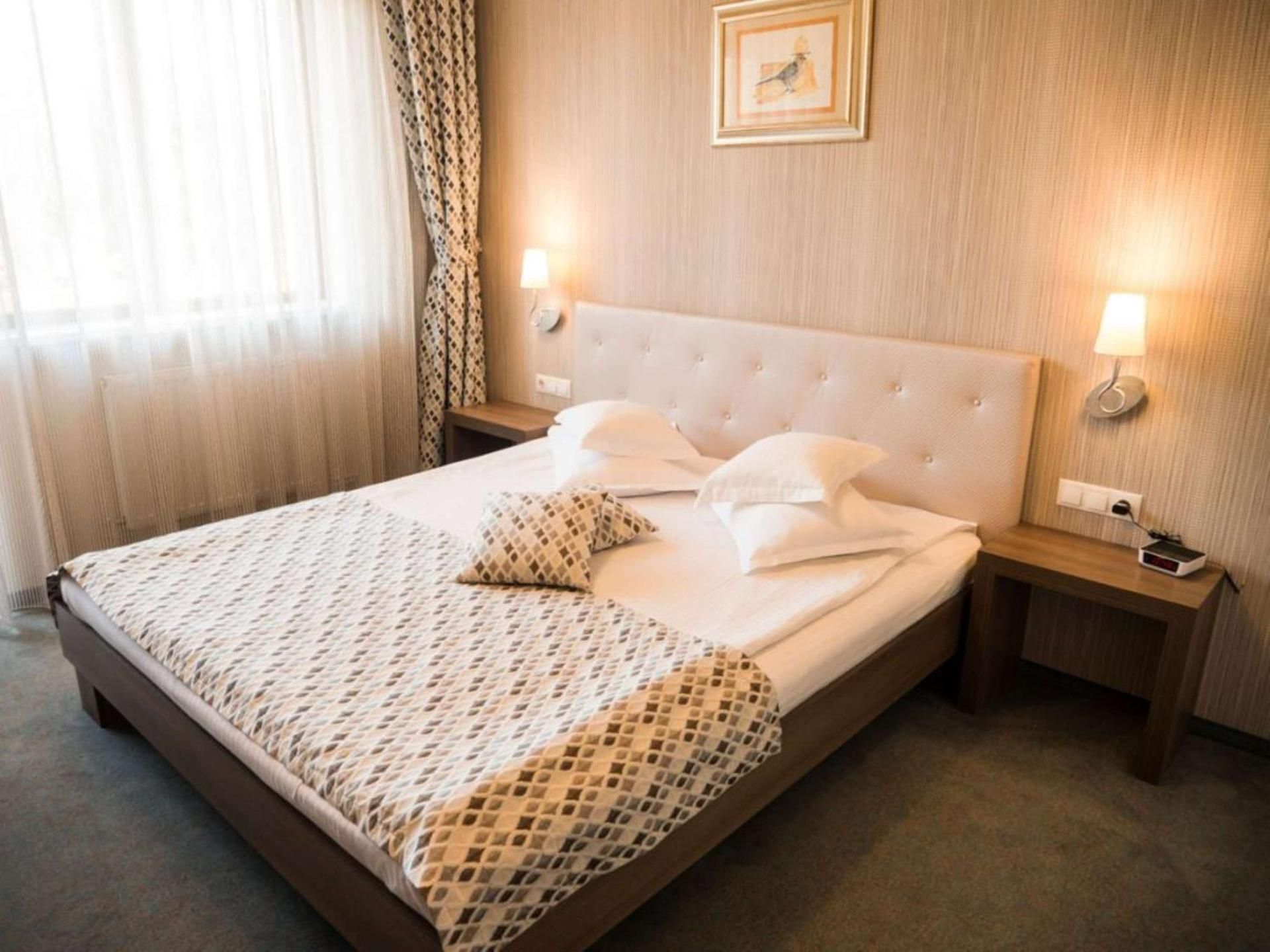 Deluxe King Suite with Sofa Bed