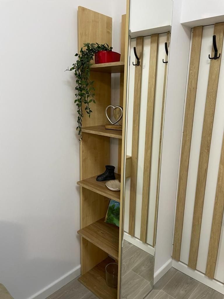 AVA Studio Sinaia