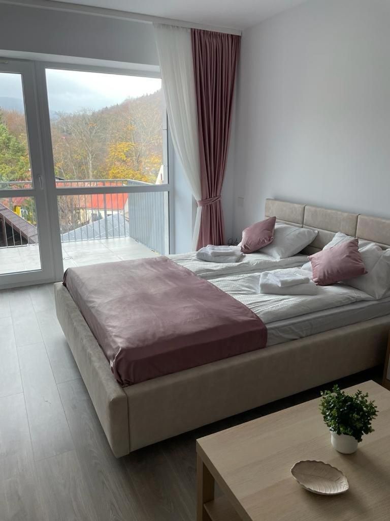 AVA Studio Sinaia
