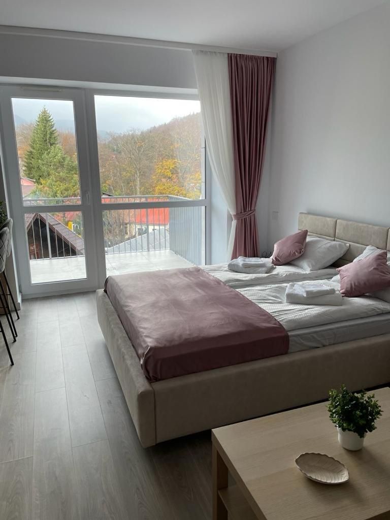 AVA Studio Sinaia
