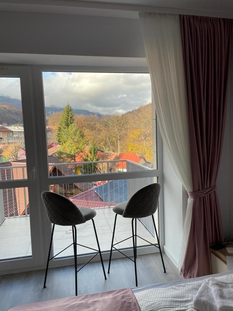 AVA Studio Sinaia