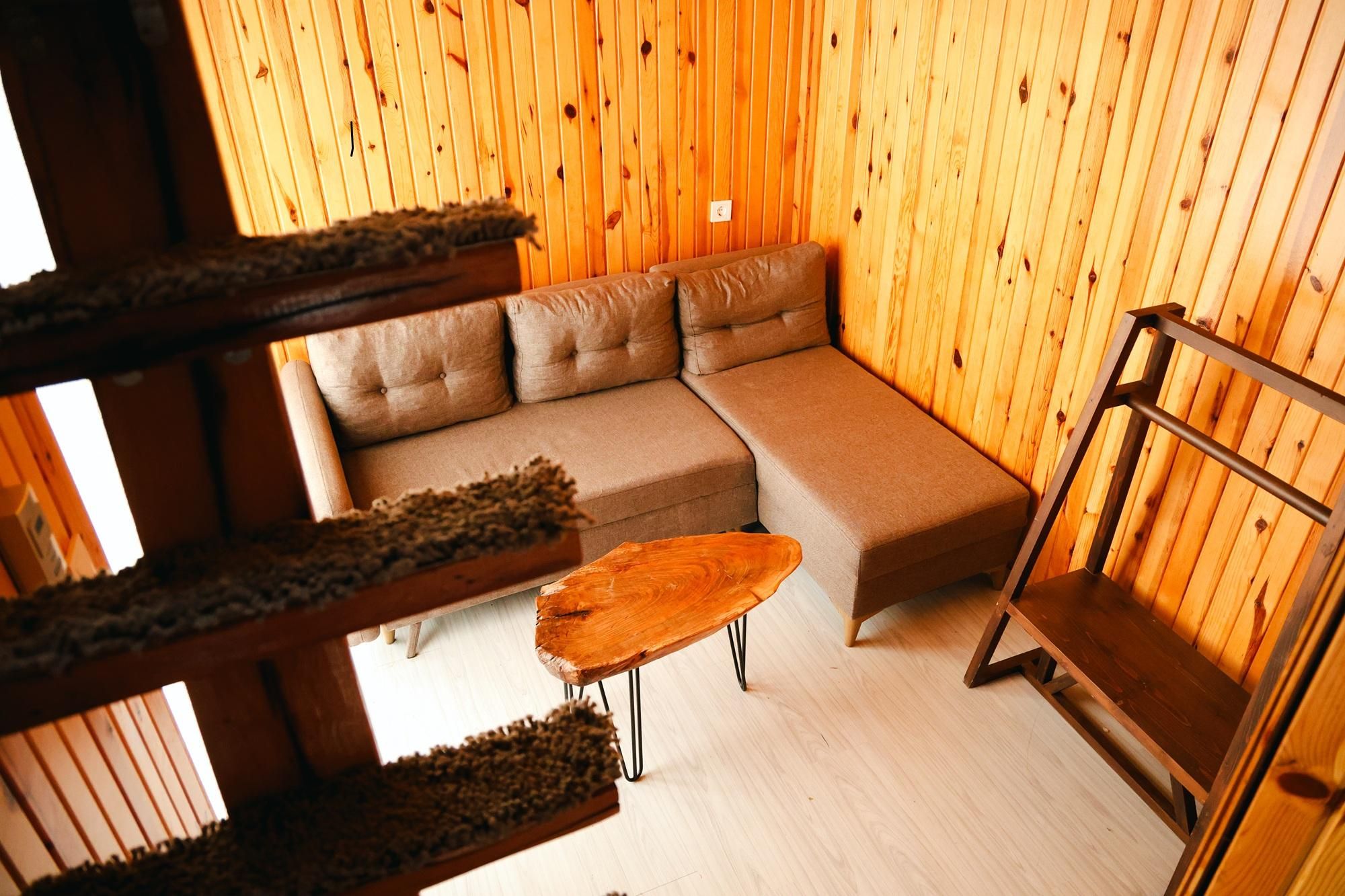 Tiny Room