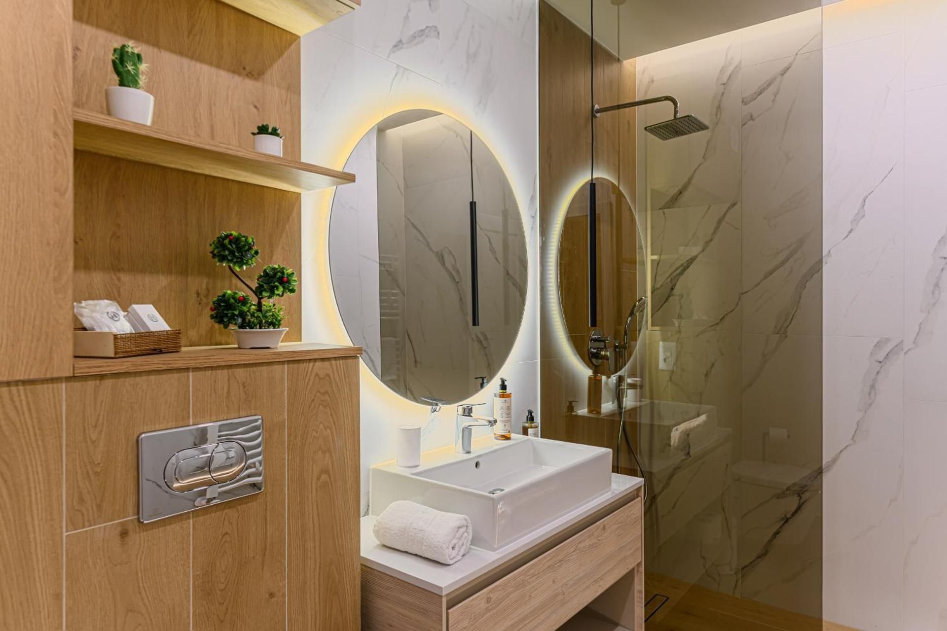 Deluxe One-Bedroom Apartment