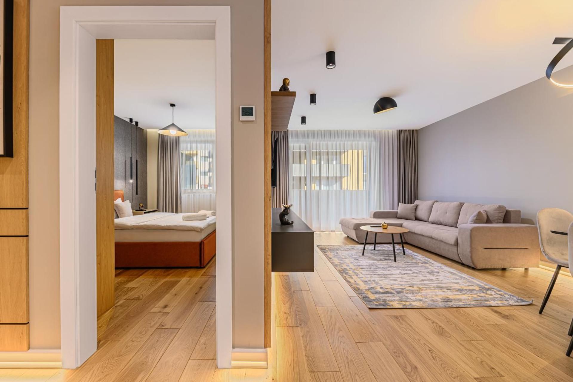 Deluxe One-Bedroom Apartment