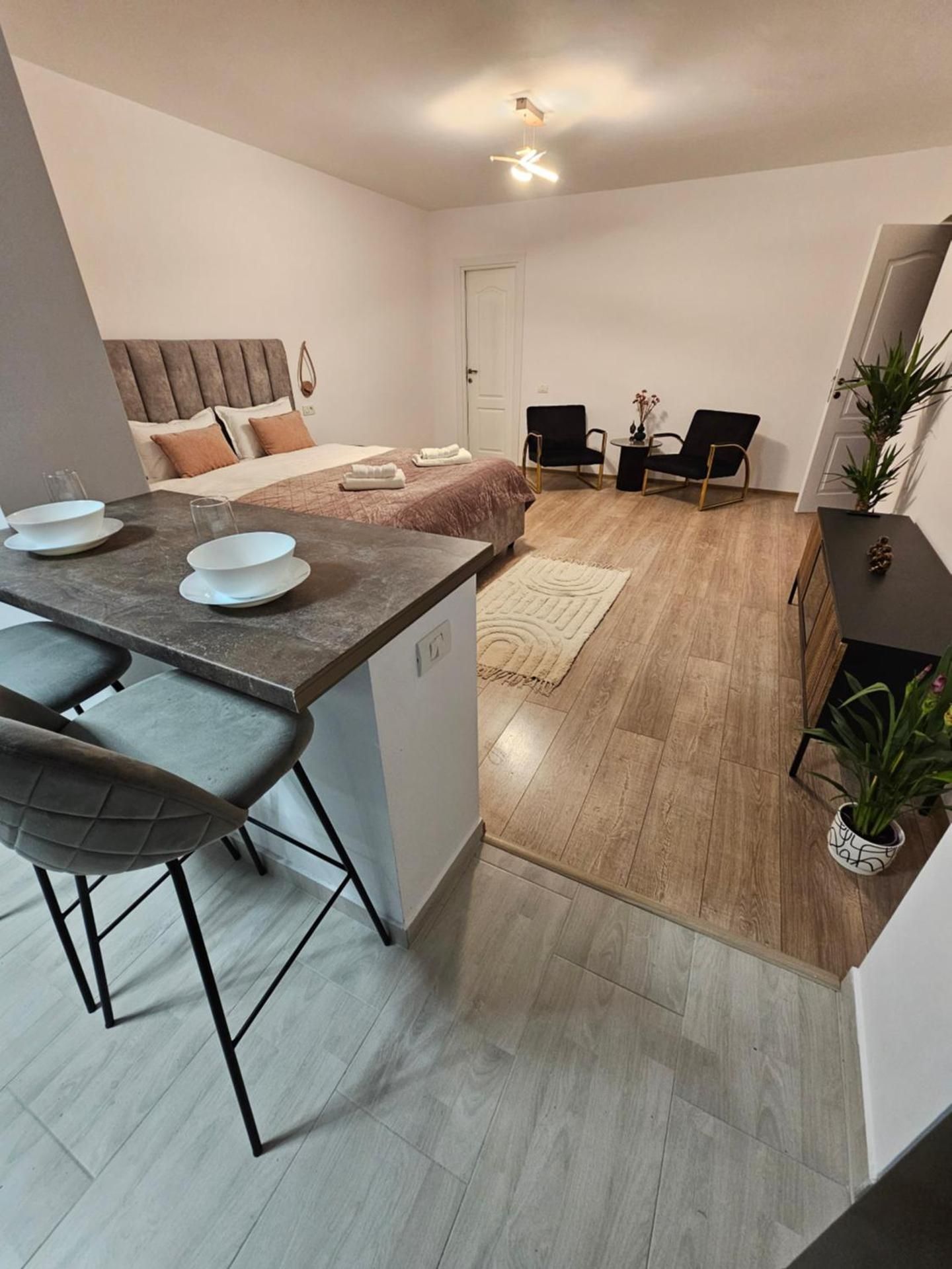Studio with Terrace