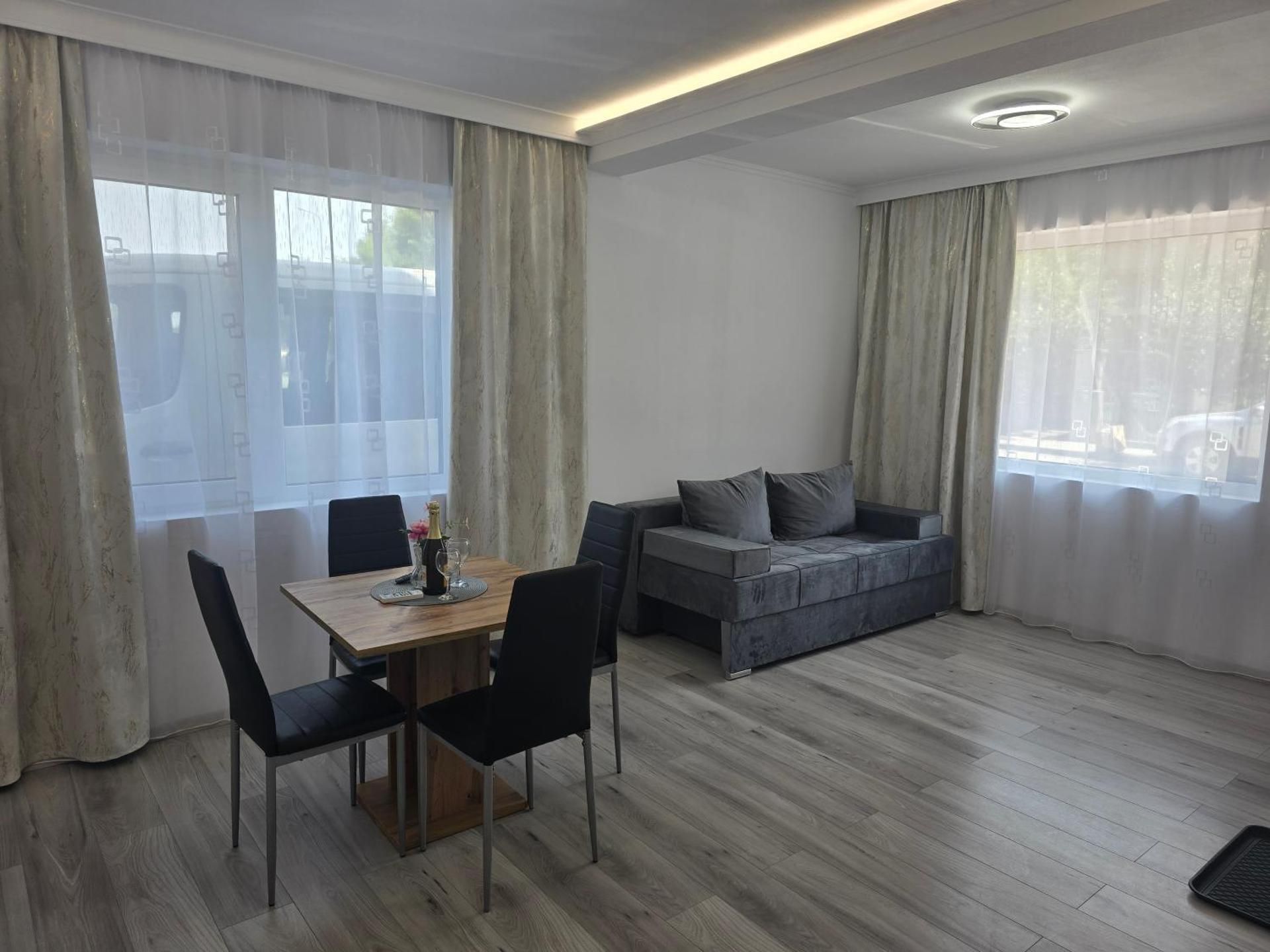 Deluxe One-Bedroom Apartment