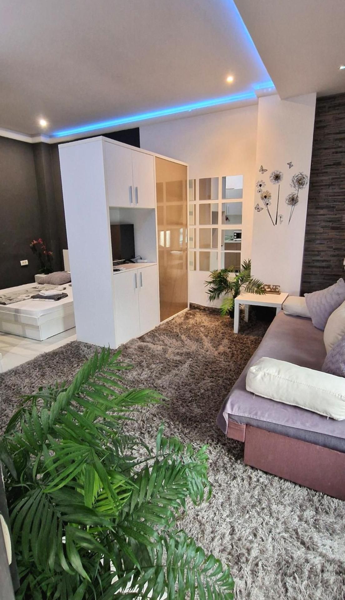 King Studio with Sofa Bed