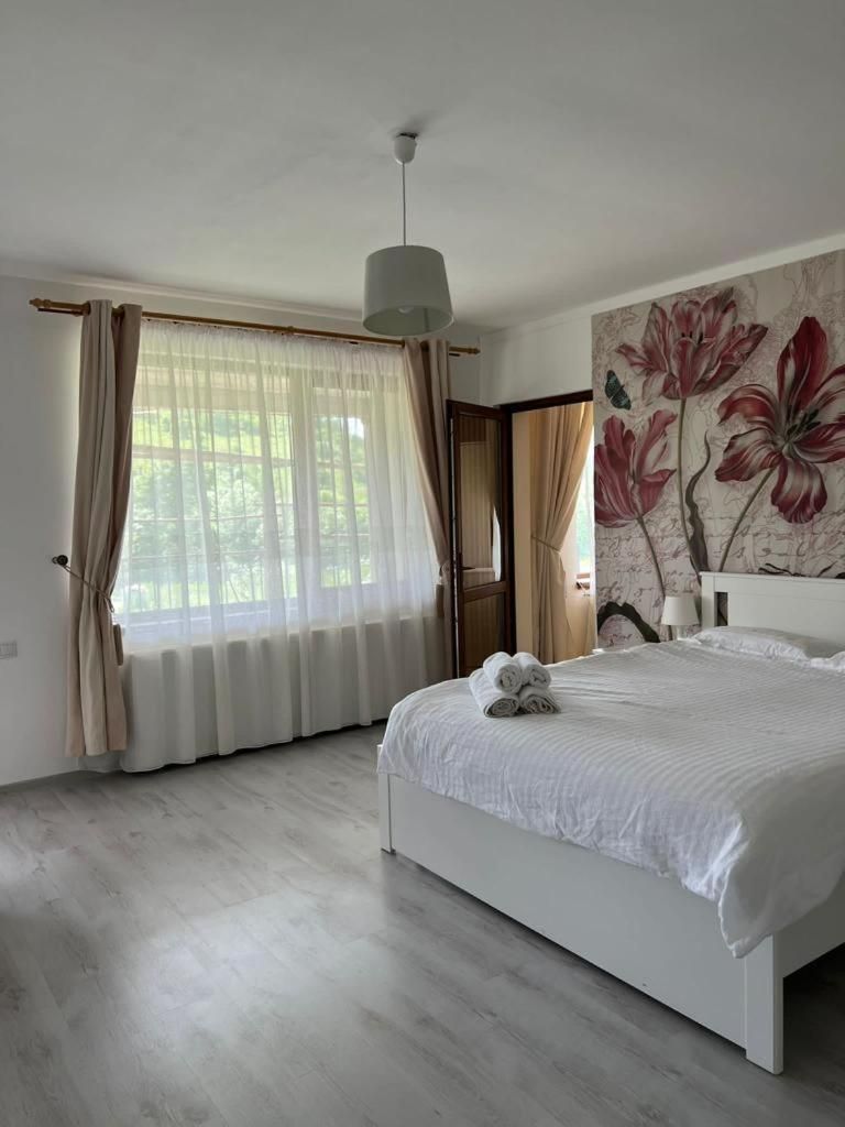 Casa Mardar