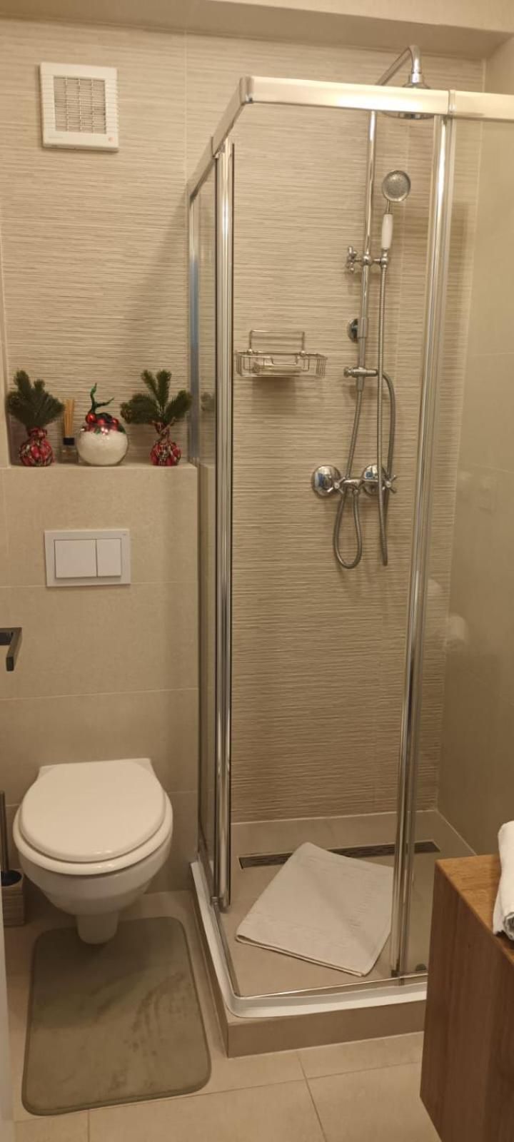 Double Room with Terrace
