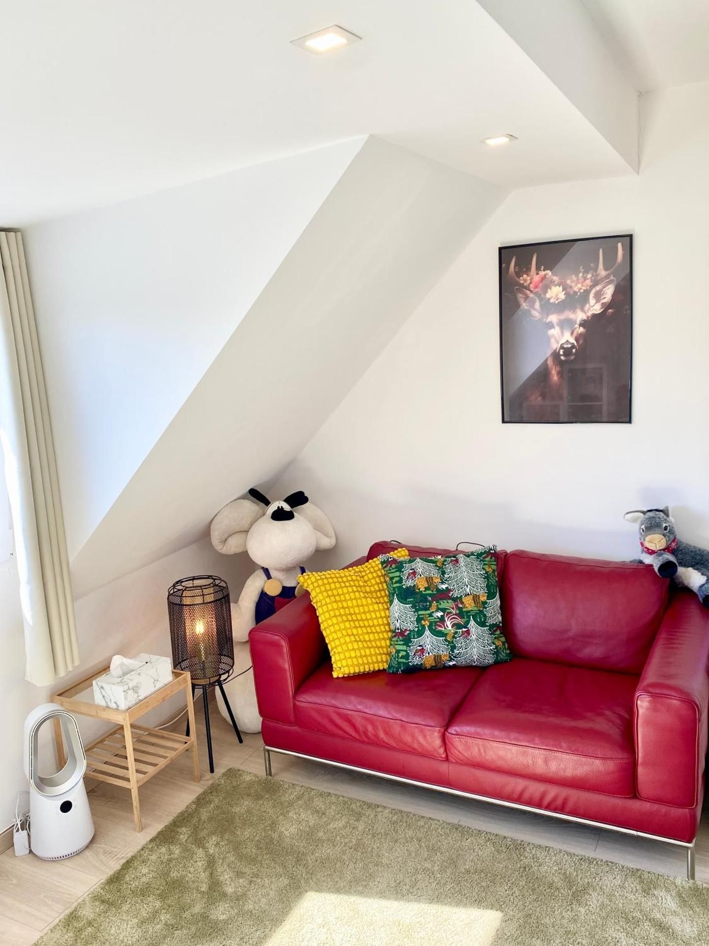 Single Room with Shared Bathroom