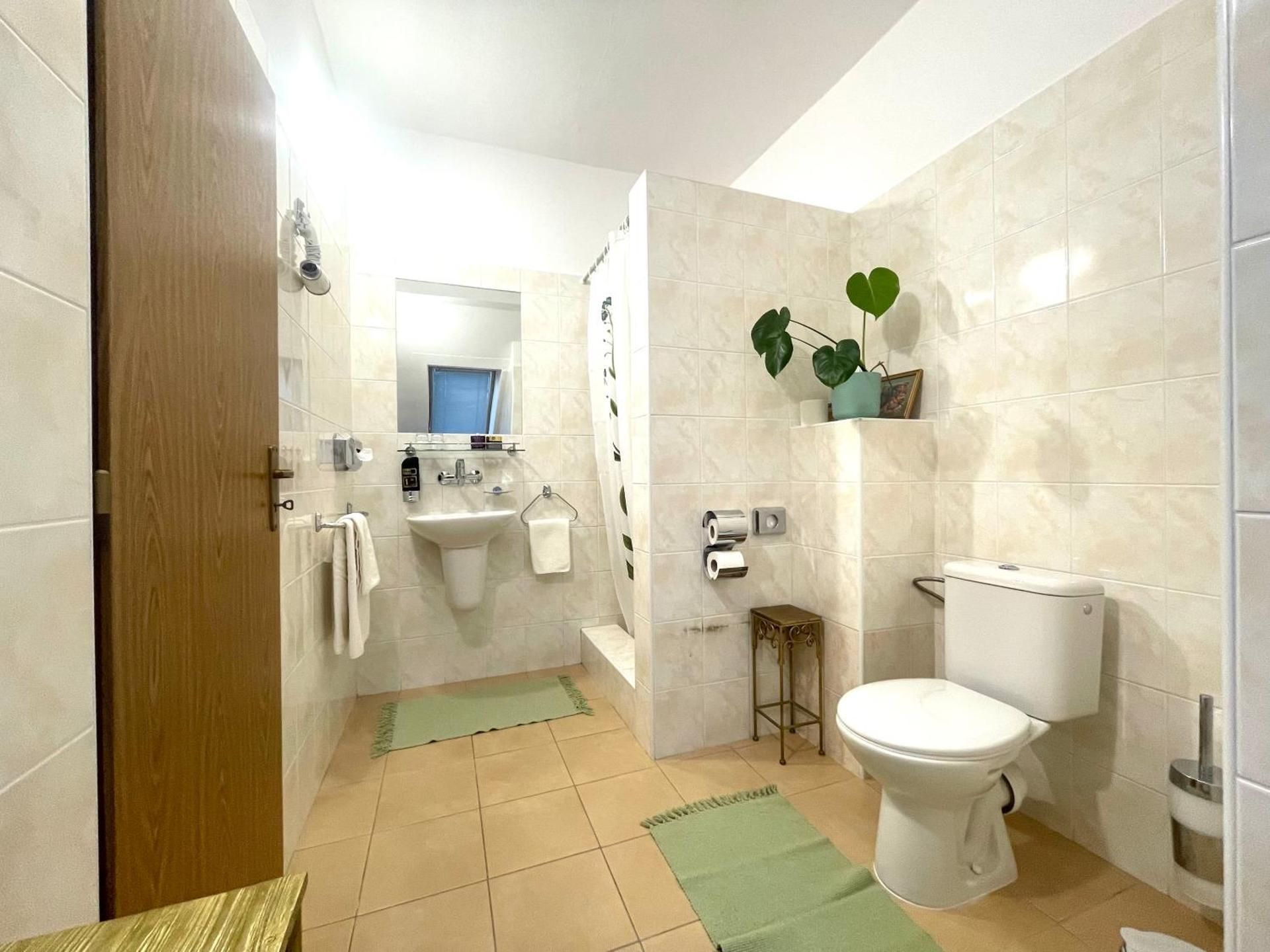 Large Single Room