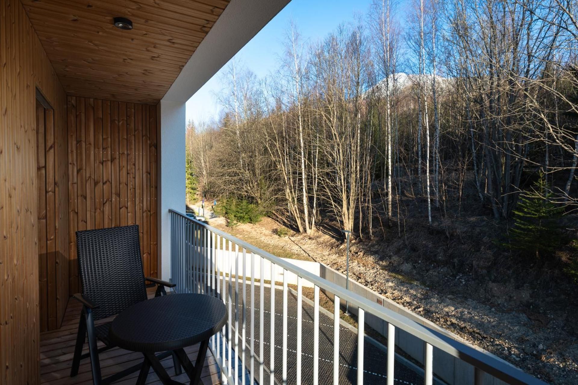 Two-Bedroom Apartment with Mountain View & Balcony (A17)