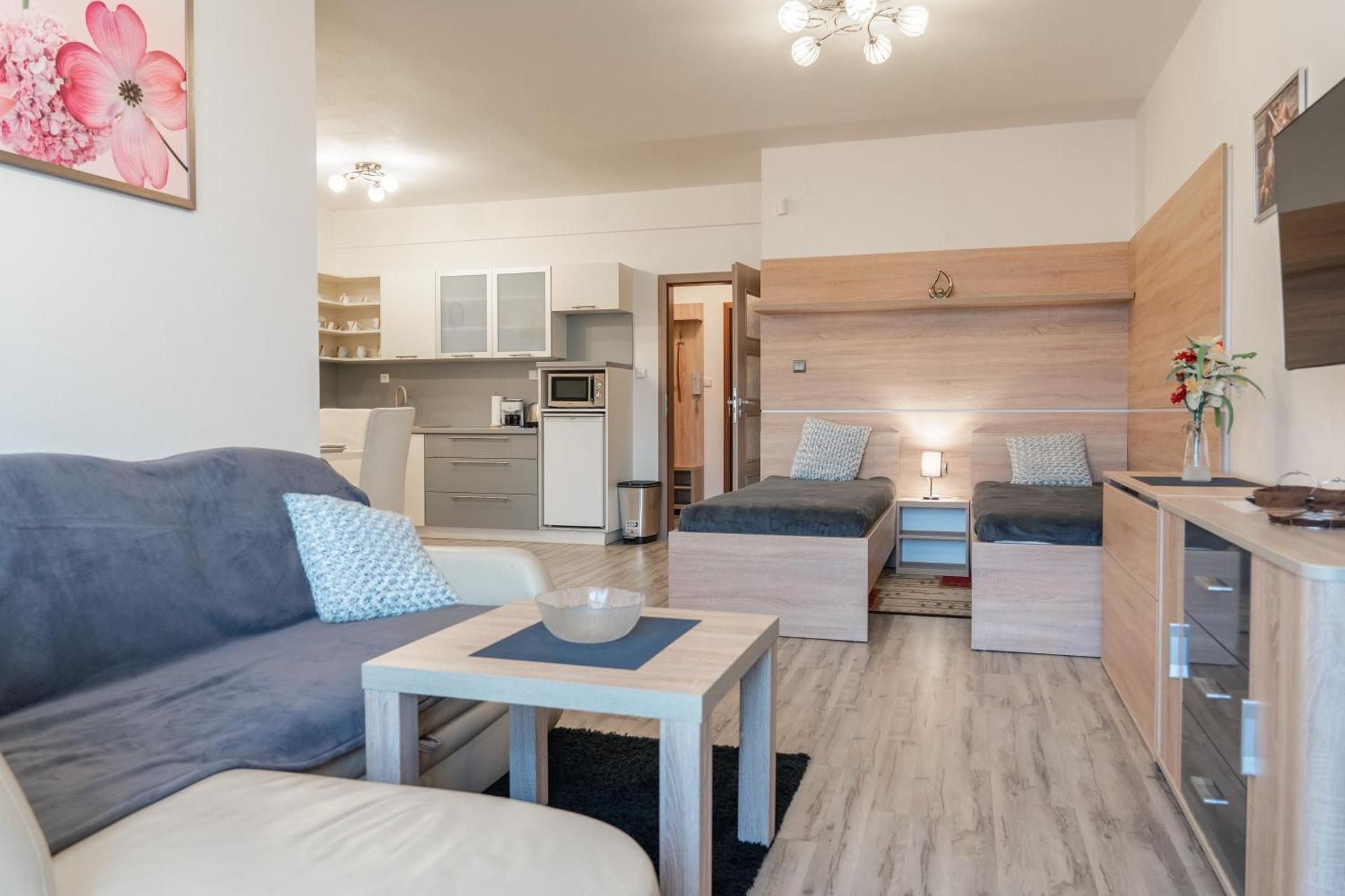 Apartment with Mountain View (B12)