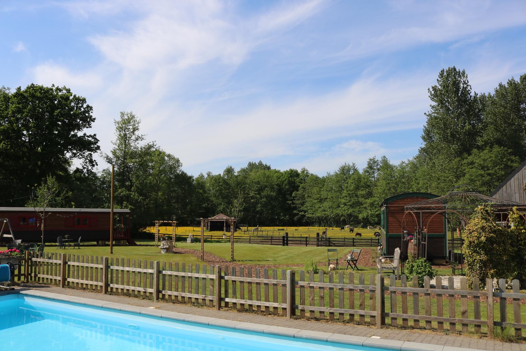 B&B Babbita Pia(groen)
