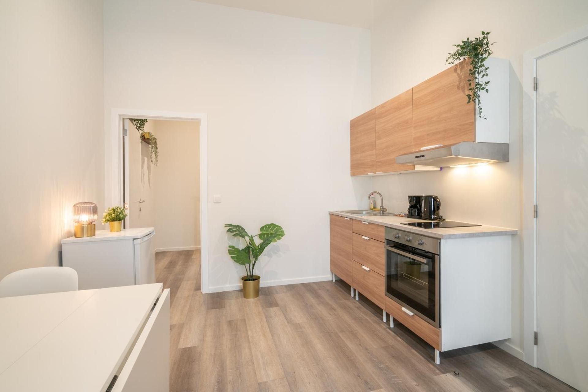 Antwerp Center Cozy Cityflats