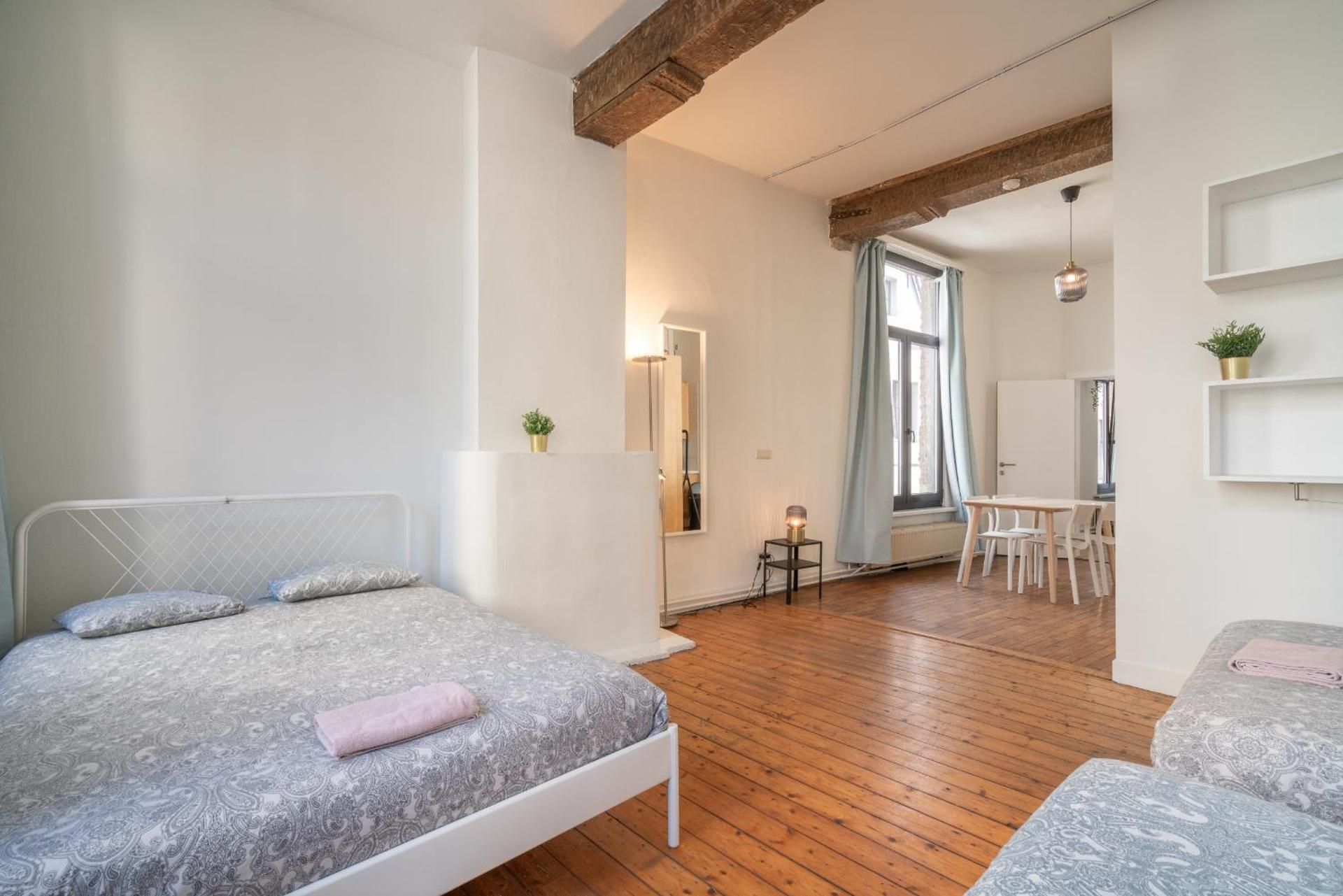 Antwerp Authentic City Center Apartments Two-Bedroom Apartment 2