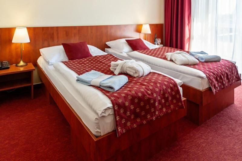 Double Room with Balcony and Aquapark access