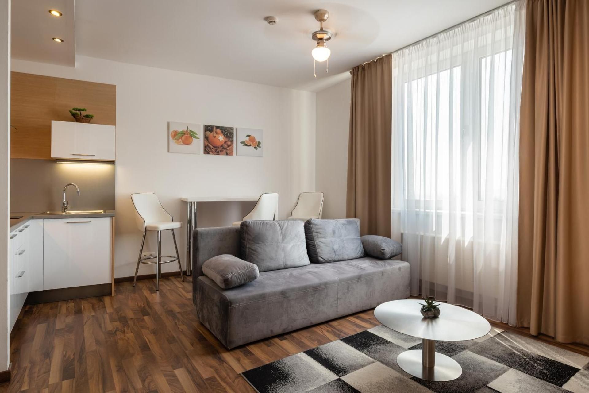 One-Bedroom Apartment