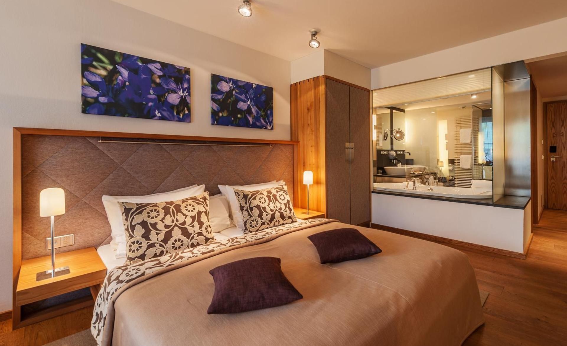 Hotel Maximilian Superior Double Room 2