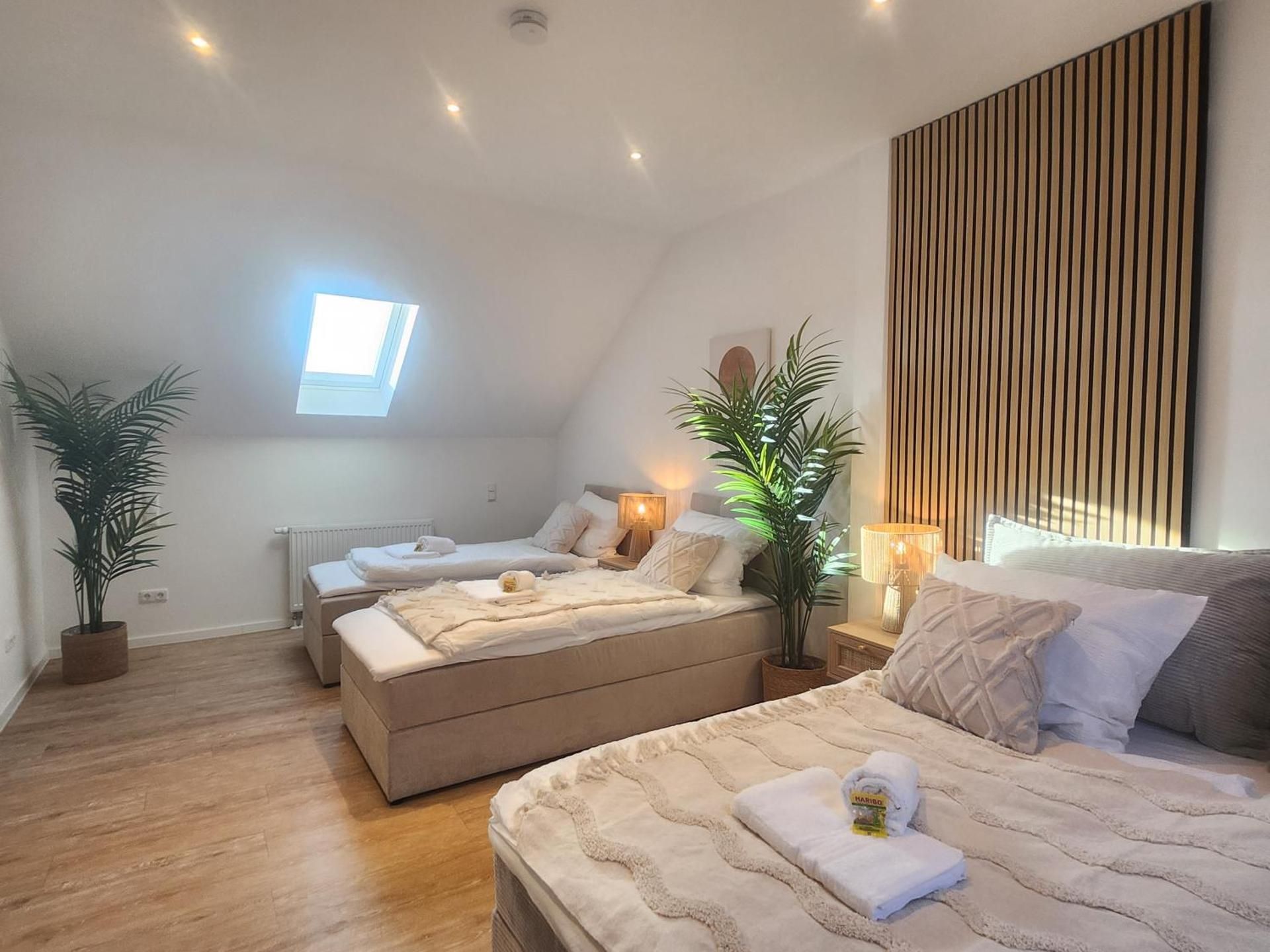 Deluxe One-Bedroom Apartment
