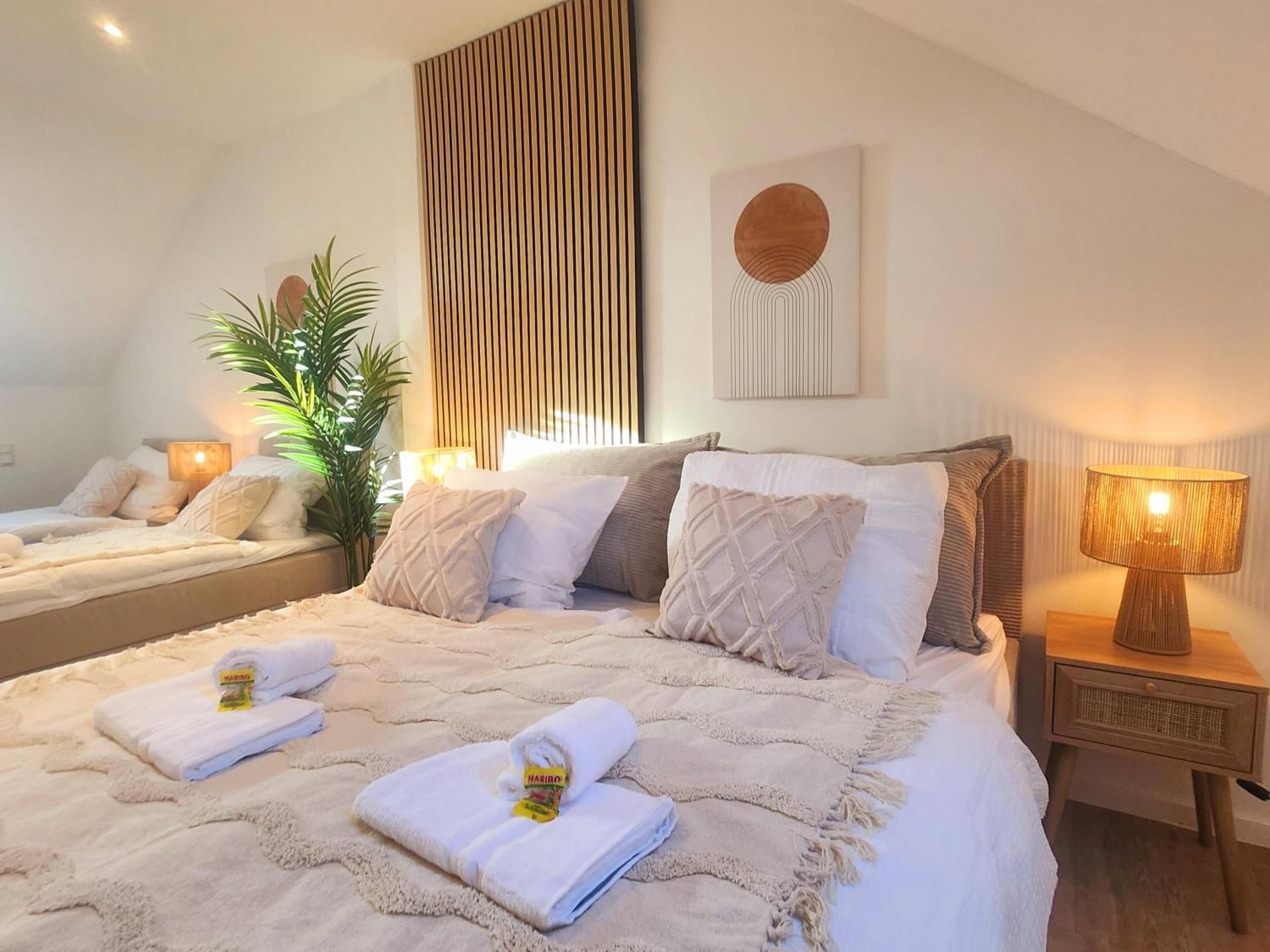 Deluxe One-Bedroom Apartment