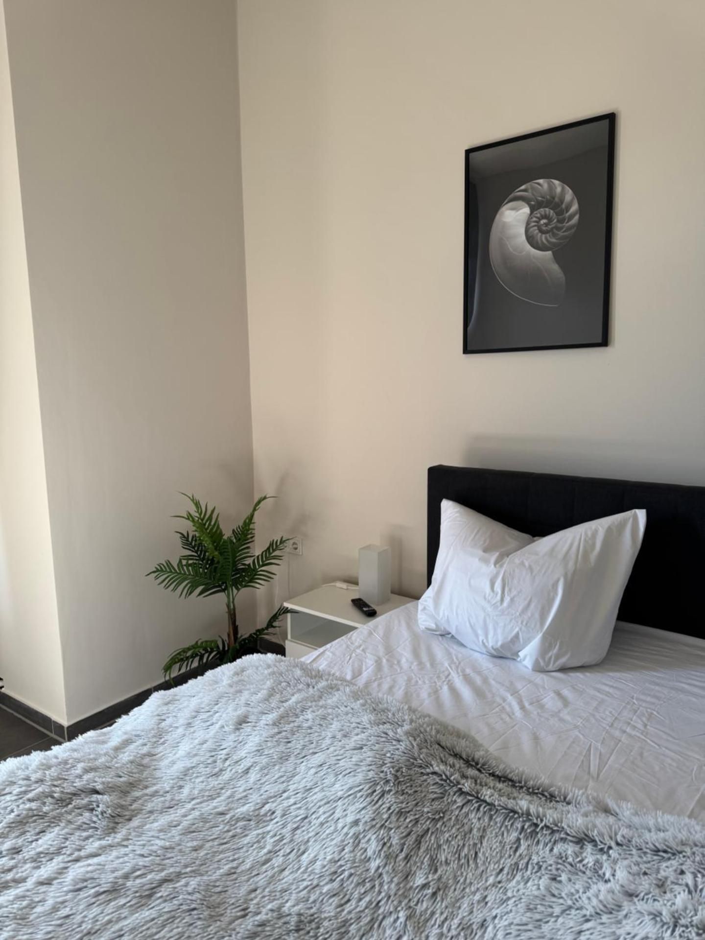 Double Room with Shared Bathroom