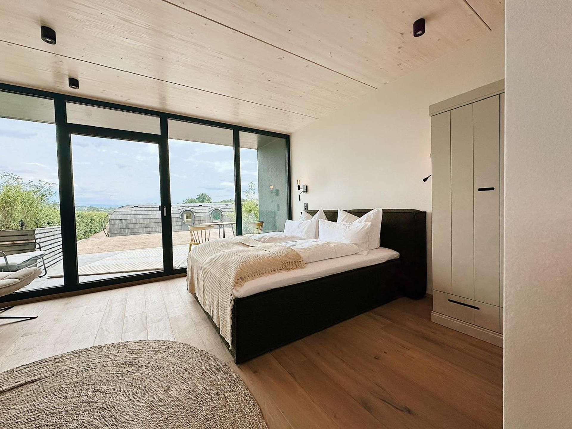 Deluxe One-Bedroom Apartment with City View