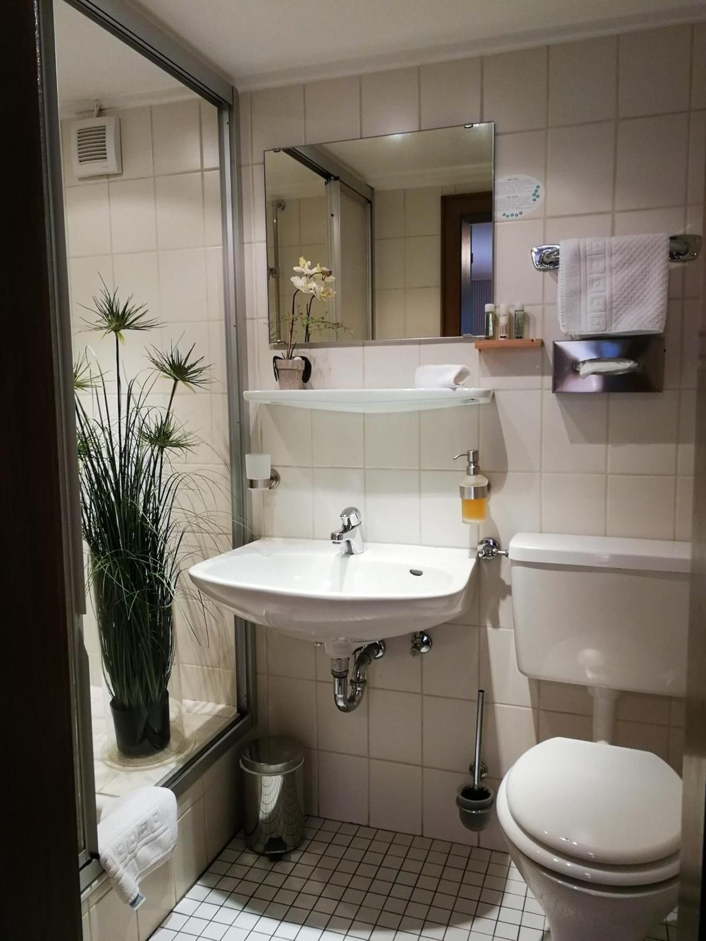 Superior Single Room
