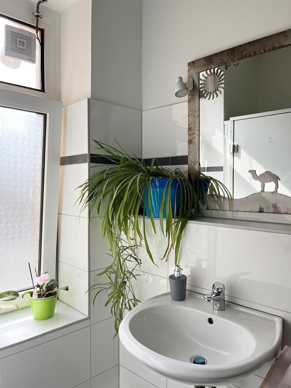 Bed in 4-Bed Dormitory Room