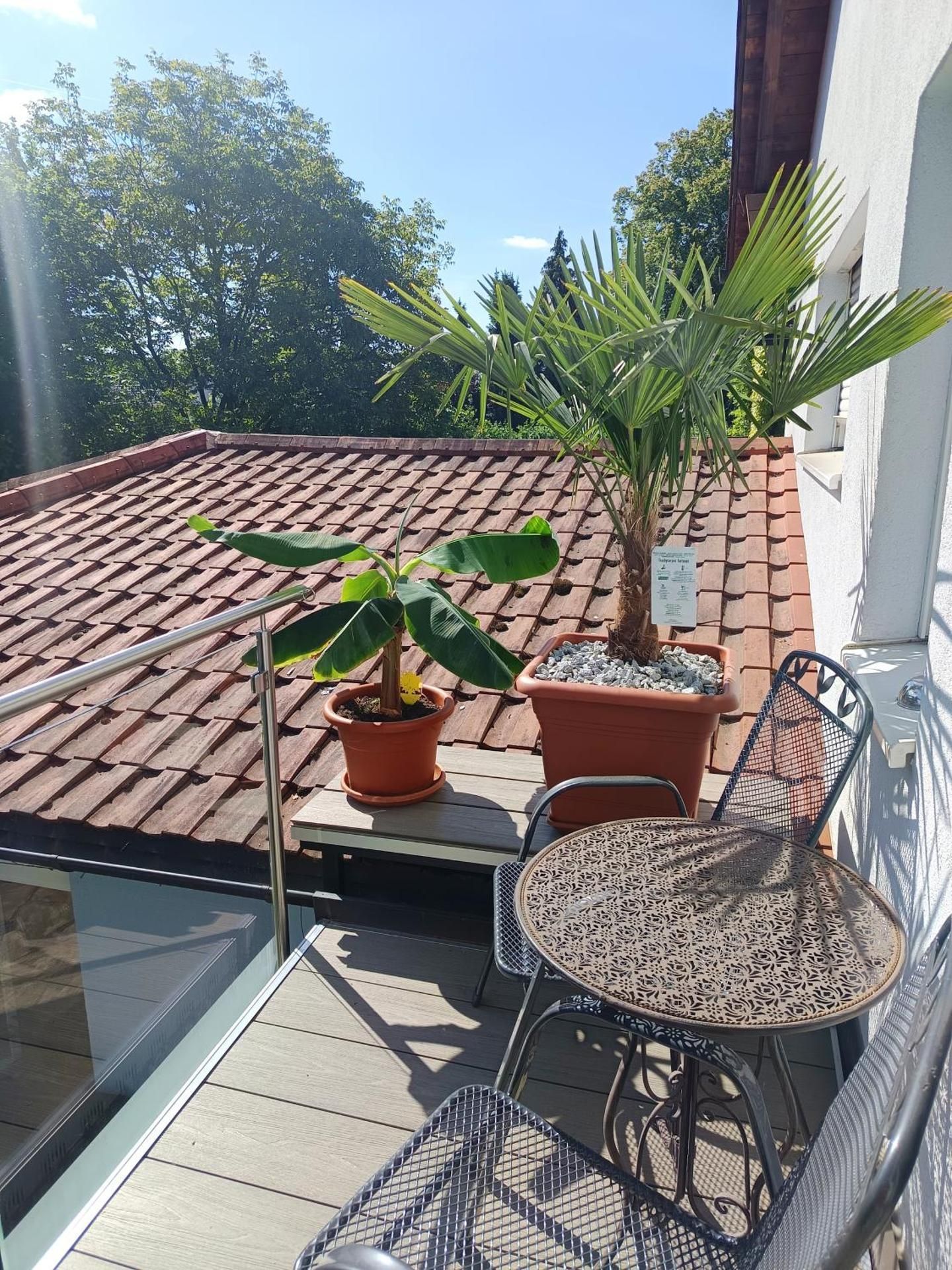 King Room with Garden View