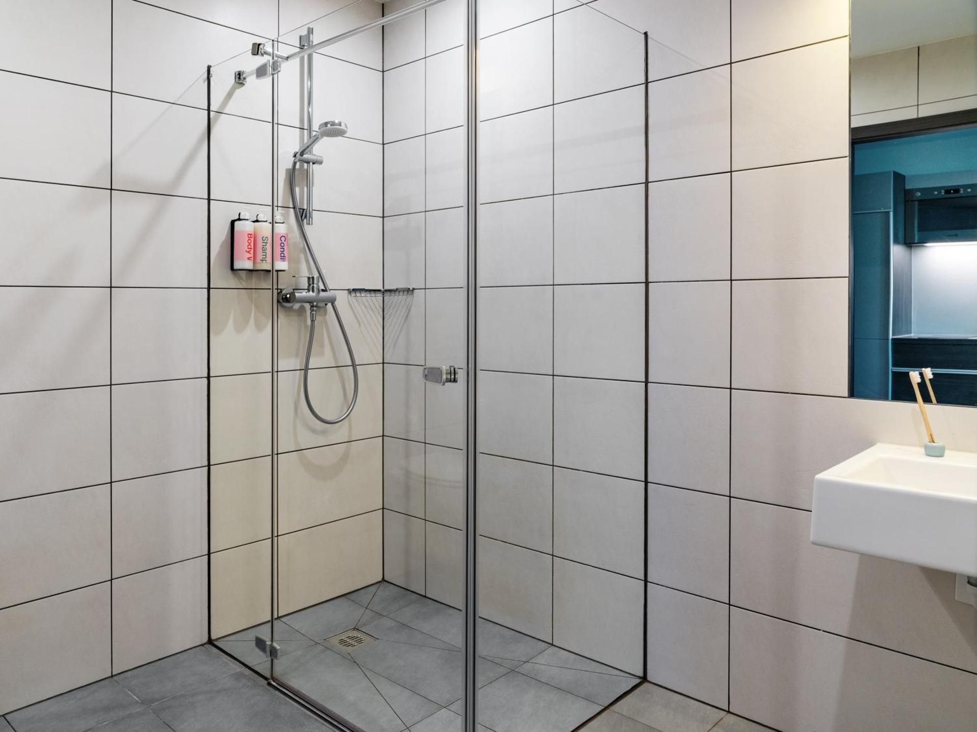 1 bedroom apartment with sofa bed